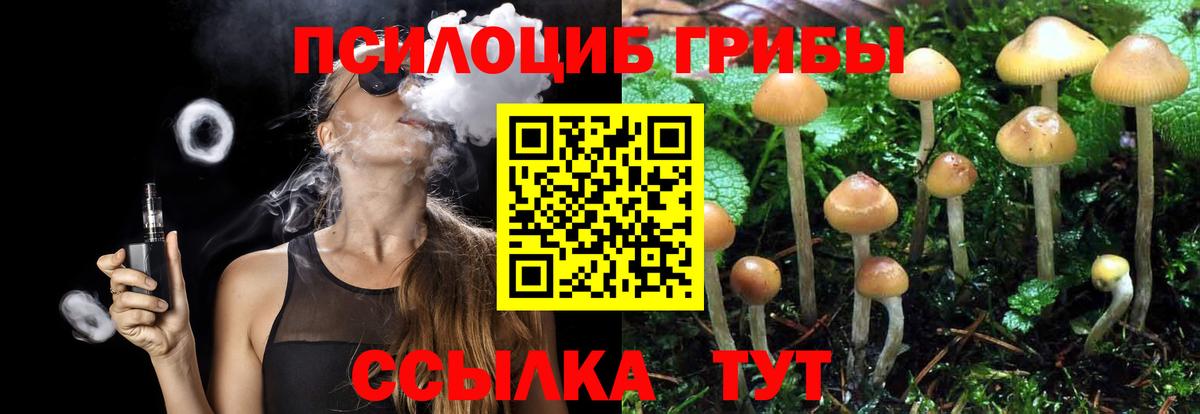 Соликамск  Галлюциногенные грибы прущие грибы  Вход с VPN 